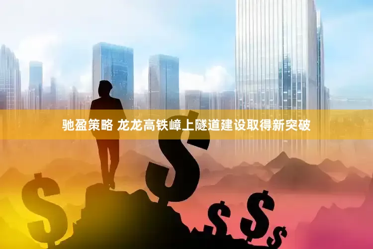 驰盈策略 龙龙高铁嶂上隧道建设取得新突破