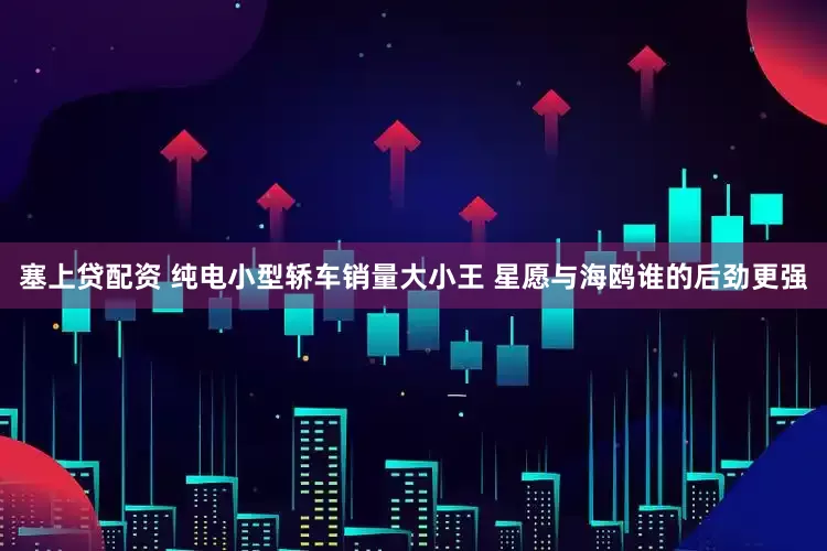 塞上贷配资 纯电小型轿车销量大小王 星愿与海鸥谁的后劲更强