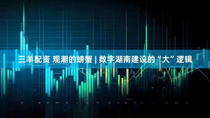 三羊配资 观潮的螃蟹 | 数字湖南建设的“大”逻辑