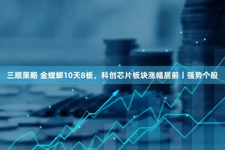 三顺策略 金螳螂10天8板，科创芯片板块涨幅居前丨强势个股